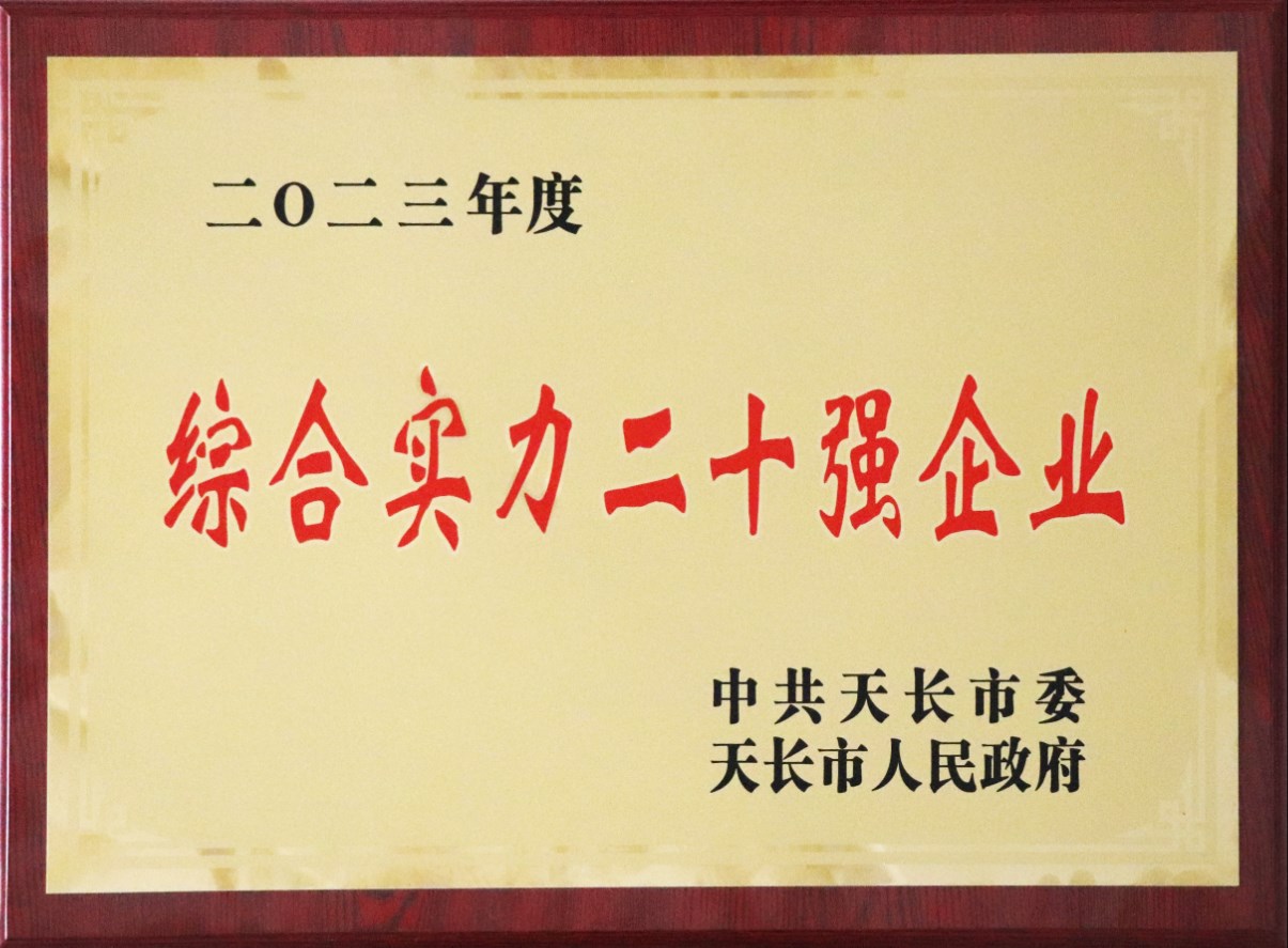 2023年度天長市綜合實力二十強企業